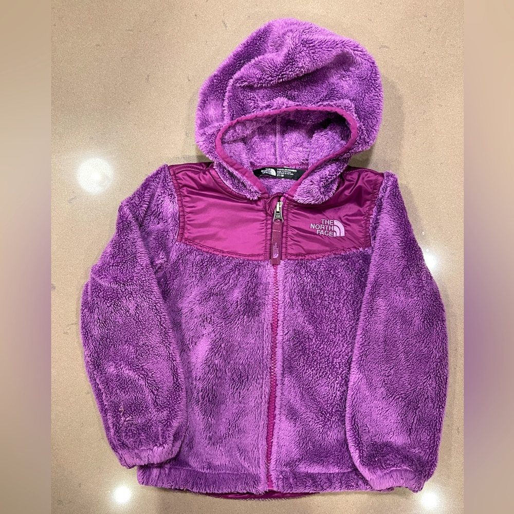 The North Face Full Zip Hoodie Purple 3T